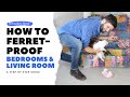 How to FERRET PROOF Your Bedroom and Living Room | Ferret Care