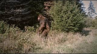 The Most DISTURBING Bigfoot Encounter That Left Experts Speechless!