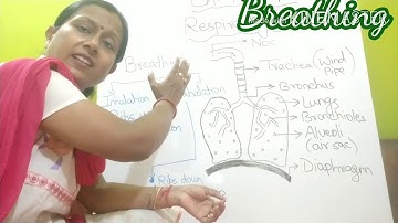 ICSE CLASS 4 SCIENCE CH 7 (PART 2)