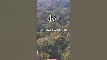 بِسْمِ اللَّهِ الرَّحْمَنِ الرَّحِيمِ سورة النحل