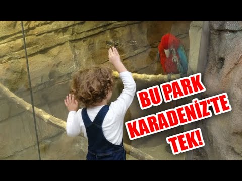 Bu Park Karadeniz'de Tek!