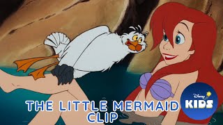 Something's Different About Ariel 🧜‍♀️ | The Little Mermaid | Disney Kids