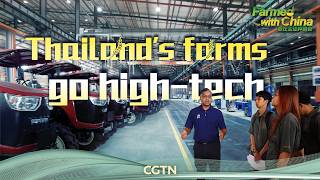 Download Lagu Farmed with China: Thailand's farms go high-tech MP3