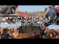 ҚАРАТАС МАЛ БАЗАРЫ 26.07.22 ЖЫЛҚЫ МЕН ҚАРА МАЛ БАҒАЛАРЫ.