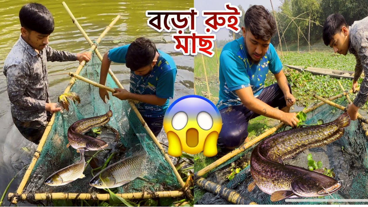 Giant Fish Catch in Village RiverTraditional Net Fishing #fishing 
