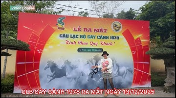 EM KIM CÚC CHIA SẺ VỀ KHÔNG GIAN TRƯNG BÀY VÀ NHƠ THƯỞNG TRÀ TẠI LỄ RA MẮT CLB CÂY CẢNH 1978 XẮP TỚI