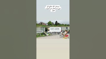 ماتيسر من سورة لقمان