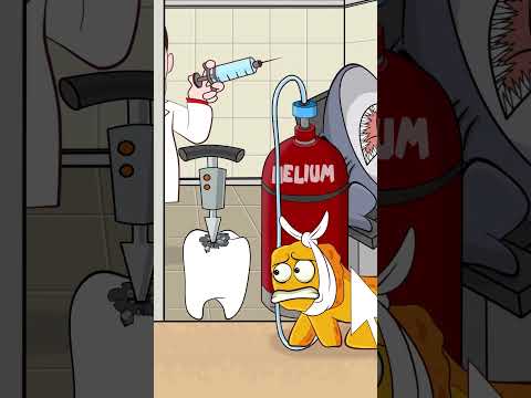 Escape from the dentist : Nuggets runs away from Nikocado Avocado , but