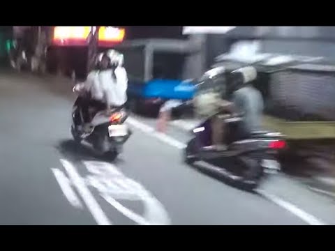 高雄鳳山猴子群（原po不怕被猴子抓嗎？