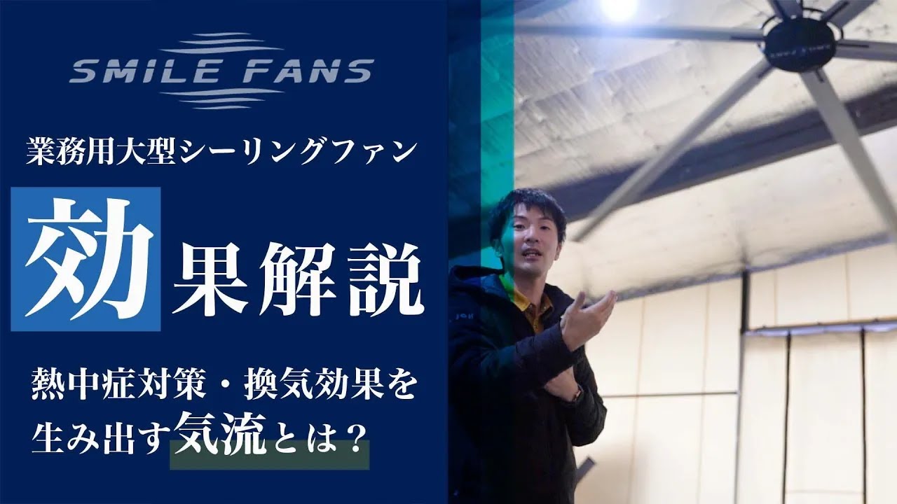 3ヶ月だけ使用 シーリングファン （シーリングファンの電気代は高い  