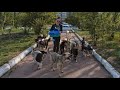 Giving Food and Water to Hungry Stray Dogs