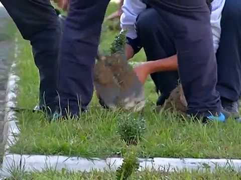 სასჯელაღსრულებისა და პრობაციის სამინისტრომ გამწვანების აქცია დაიწყო