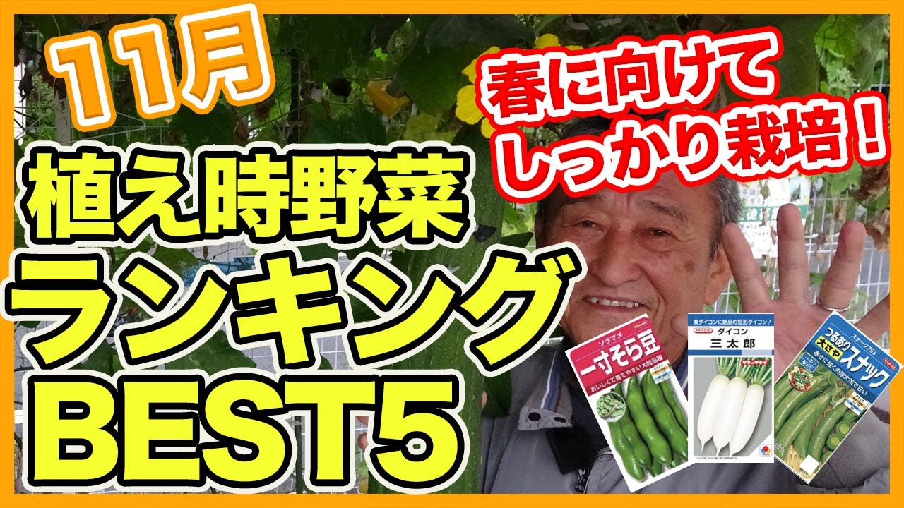 A Passion for Vegetables [洋書] 非常に良い】A Passion for Vegetables [洋書] 【公式通販】