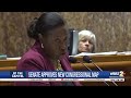 Louisiana Senate approves 5-1 majority-minority congressional map, now headed to House