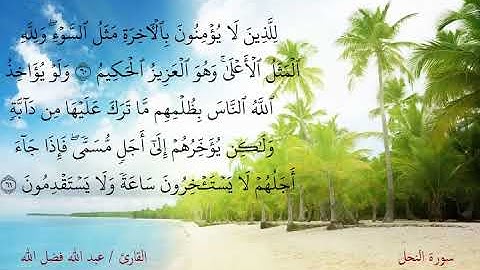 ويجعلون لما لا يعلمون نصيبا | مقام النهاوند | بصوت القارئ عبد الله فضل الله