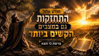 חודש אלול - התחזקות גם במצבים הקשים ביותר - פרשת כי תצא