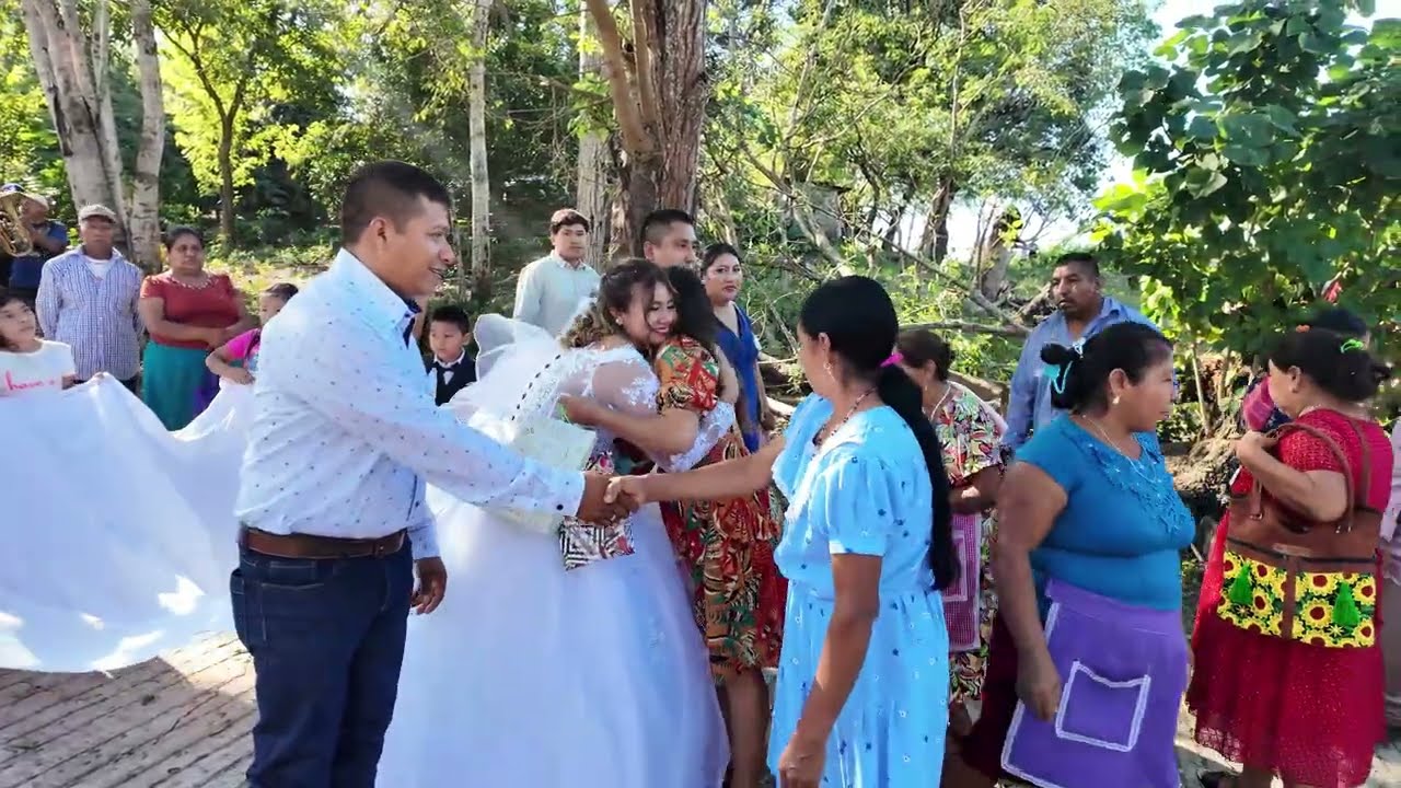 💍 Свадьба Лауры Жасмин и Телесфоро: Авокадовое дерево сверху! 🚁✨