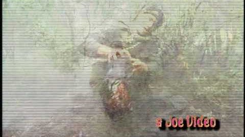 Captain Beyond ARMWORTH, MYOPIC VOID