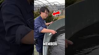 This Man Puts Catfish in a Pond, and the Ending is Shocking!