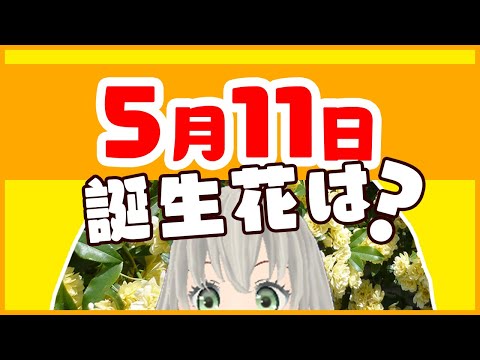 【花言葉】5月11日の誕生花は？／花白もか