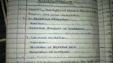 class10 bridge course science 2 activity sheet :- 13