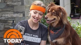 Amanda Seyfried: Adopting My Dog Finn ‘Changed My Life’ | TODAY