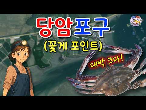 해루질 꽃게 포인트 (당암포구 편) #해루질 #꽃게포인트 #창리