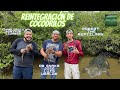 Reintegrando cocodrilos con Dr Snake Jose Luis Ugalde y Charlyrock Monitor Lizards 🐊​🐊​