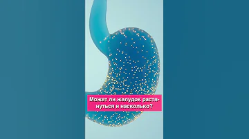 Может ли желудок растянуться и насколько?