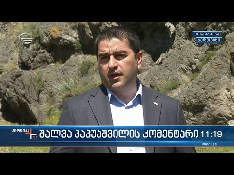 შალვა პაპუაშვილის განცხადება