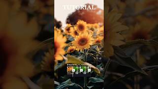 Nature x Creation Part 187 #shorts #viral Resimi