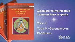 Урок 3. Тема 5. Осознанность: Введение. Урок 3. Тема 5. Осознанность: Введение.