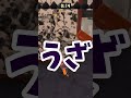 【スプラトゥーン3】なにも塗らずに引き分けを狙ってみた件【ゆっくり実況】