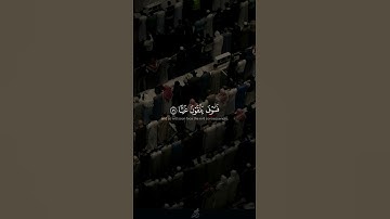 فخلف من بعدهم خلف | سورة مريم | القارئ وديع اليمني
