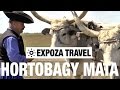 Hortobagy mata (Hungary) Vacation Travel Video Guide