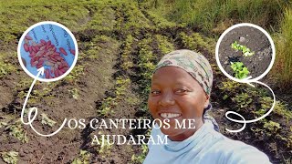 VLOG SÁBADO BOBOLE,  OS CANTEIROS SALVARAM MINHA PLANTAÇÃO DA ÁGUA. PlANTEI MELÃO E PEPINO. #vlog