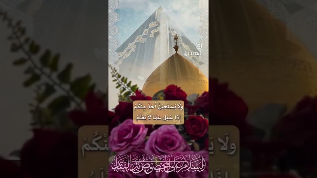 ⁣خمسه من اعظم ما وصى به امير المؤمنين علي عليه السلام #حكم #مواعظ #قصص