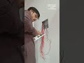 Wasim electrition work