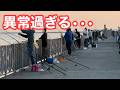 【異常過ぎる•••】南大阪屈指の堤防が大変な事になっています。限界•••【ショアジギング/飲ませ釣り】