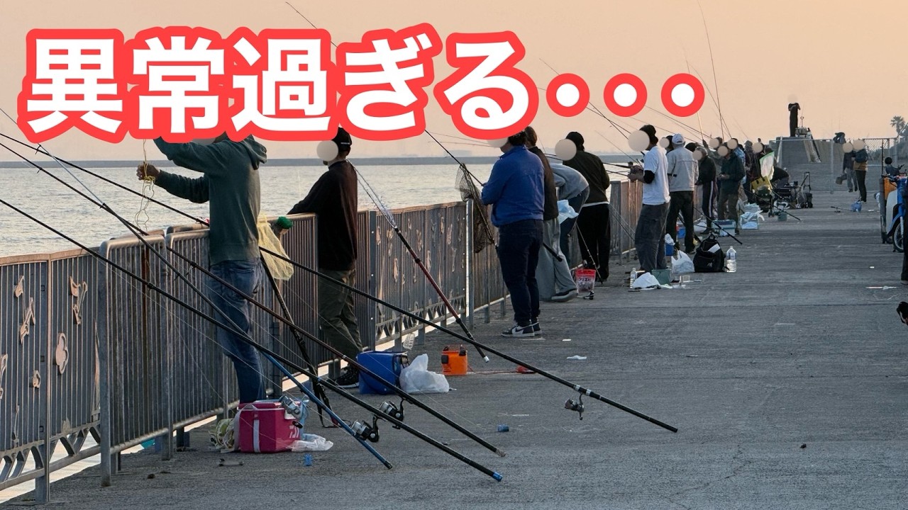 【異常過ぎる•••】南大阪屈指の堤防が大変な事になっています。限界•••【ショアジギング/飲ませ釣り】
