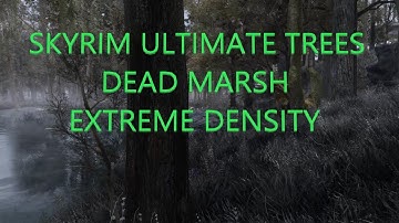 Modded Skyrim SE 2023 - Extreme Tree