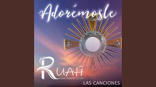 Video thumbnail of "RUAH Cantando Vida - ERES TÚ JESÚS EUCARISTÍA"