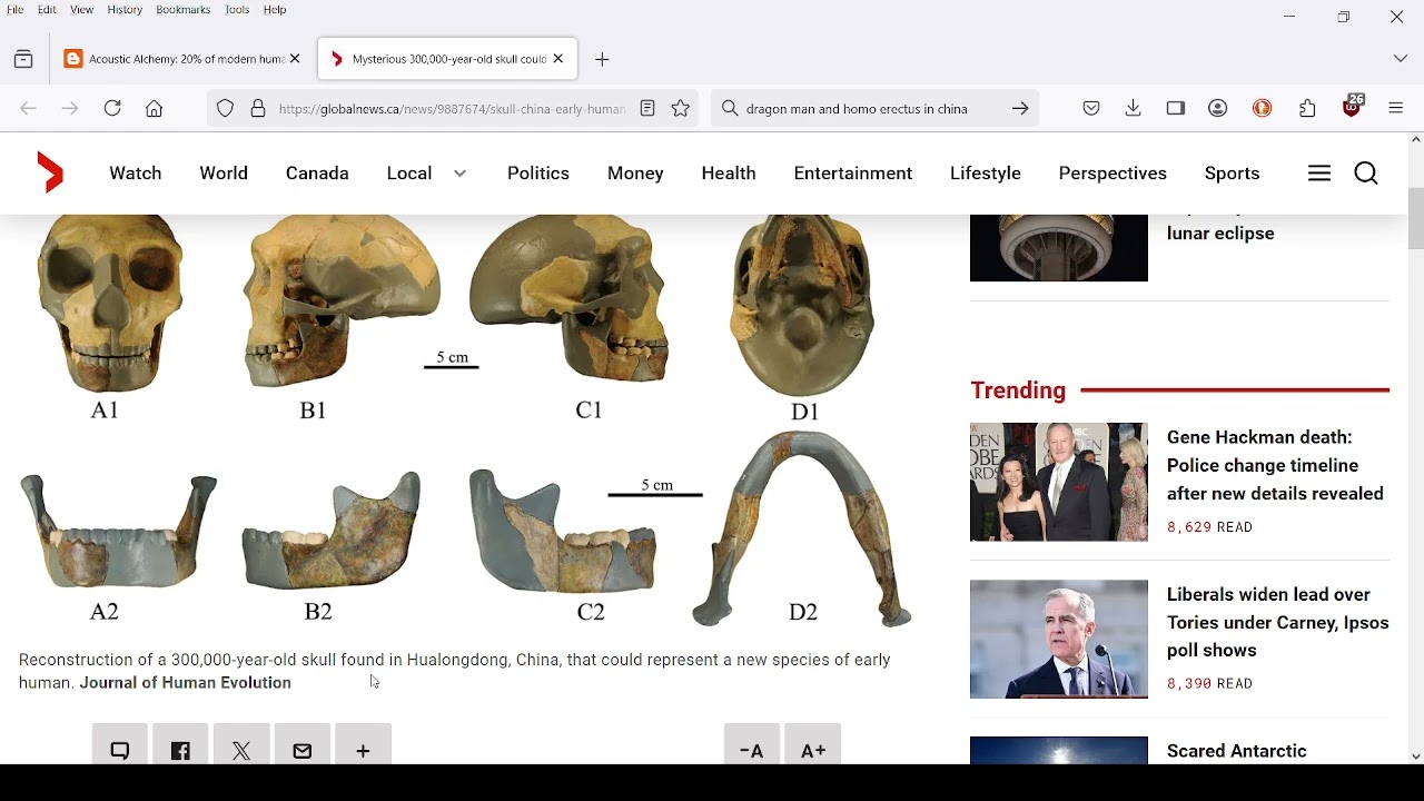 PreSapien bottleneck species (1 mya) contributed greatly (20%) to modern sapiens: 300,000 years ago