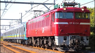 2023年11月1日　水曜日　新津配給　EF81-134＋E131系1000番台 ﾅﾊT4