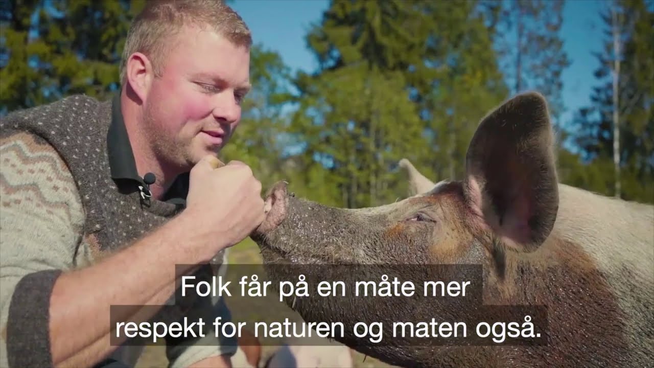 Hva Er Tørris Laget Av