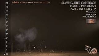 LeMaitre Pyroflash: Large Silver Glitter Cartridge