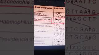 biotechnology #neet2026 #class #biotechnologyprinciplesandprocesses #restrictionenzymes