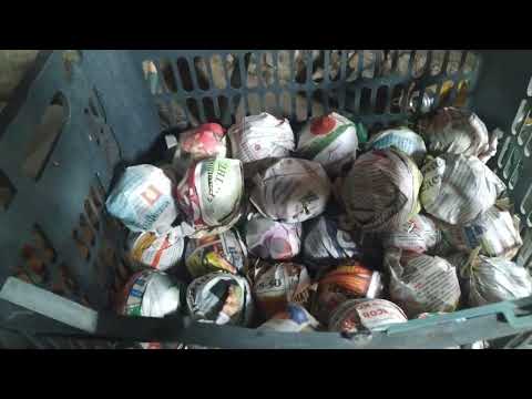🍎Как сохранить яблоки на зиму🍏