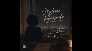 Söyleme Bilmesinler / Abdullah Sarlık (...Cover...)