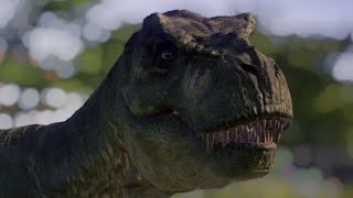 Rexy Pivot MrHootsMann Test (DC2)